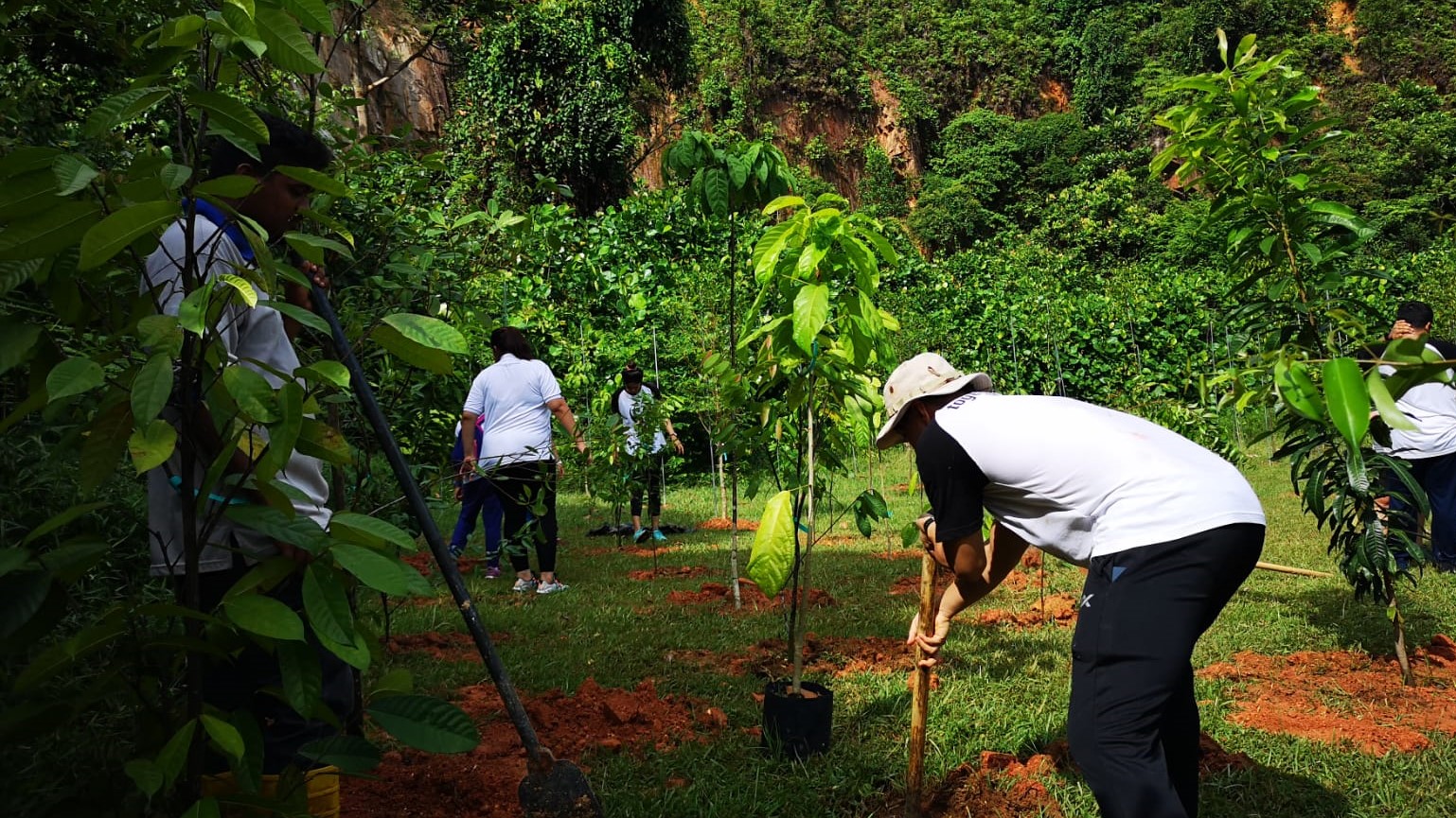 Member-exclusive events_tree planting