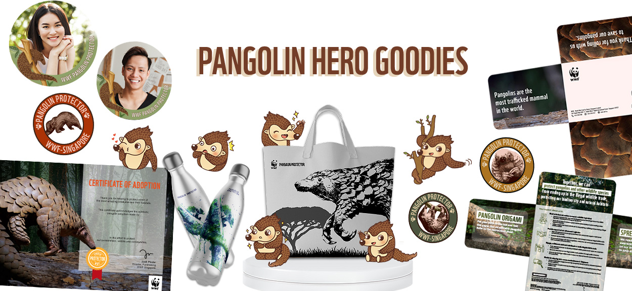 Pangolin hero goodies